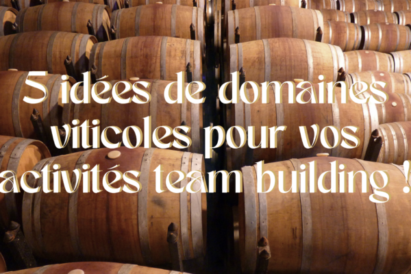 5 idées de domaines viticoles pour vos activités team building !